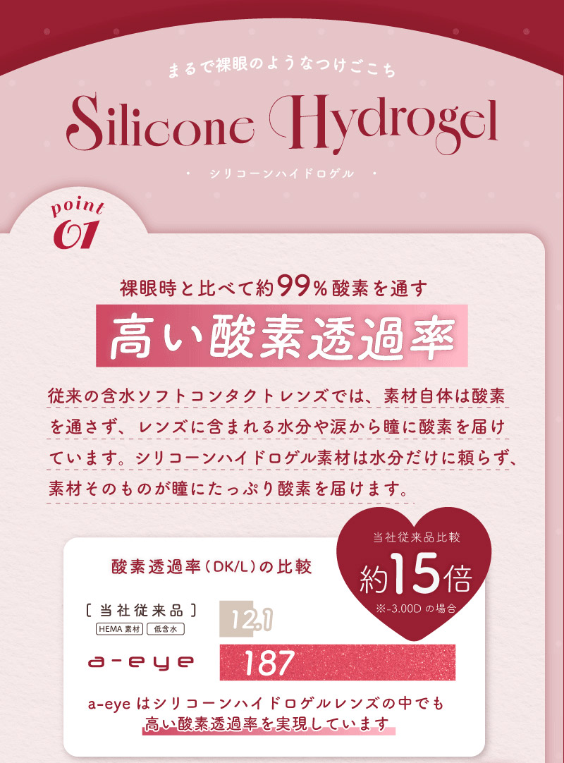 ワンデーリフレア エーアイ