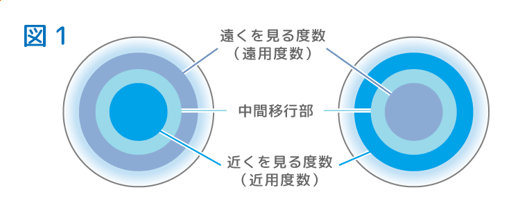 目を横から見た構造の図