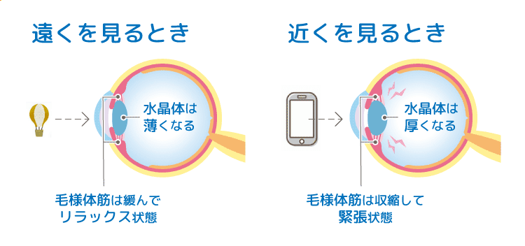 遠く・近くを見るときの画像