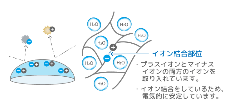 両性イオン性