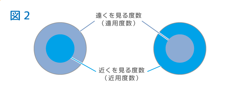 目を横から見た構造の図