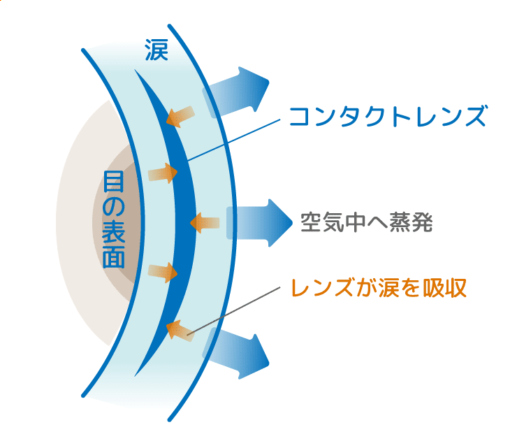 コンタクトレンズ装用時の目の表層図　目の表面には涙の層があり、涙は空気中に蒸発する他、コンタクトレンズ自体にも吸収される