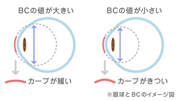 ベースカーブの説明画像