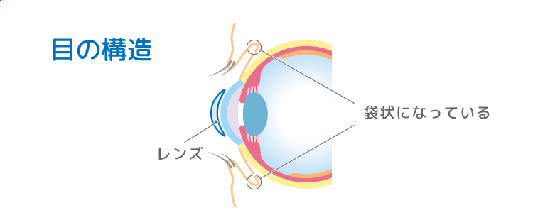 目を横から見た構造の図