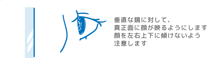 鏡をまっすぐ見つめる目のイラスト 垂直な鏡に対して真正面に顔が映るようにします 顔を左右上下に傾けないよう注意します