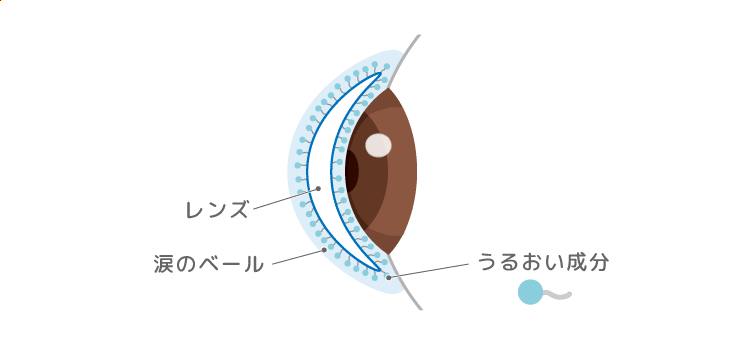 レンズ役割の画像