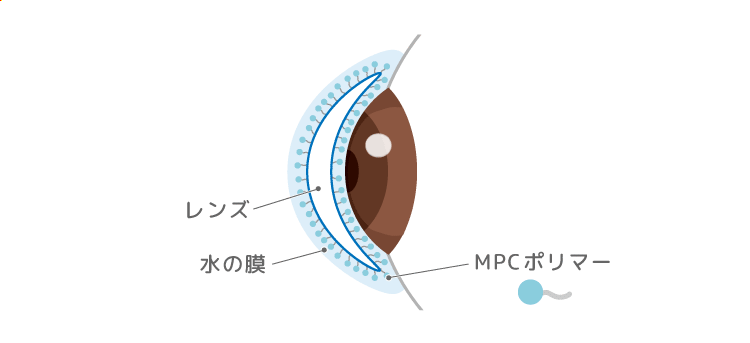 MPCポリマーの画像