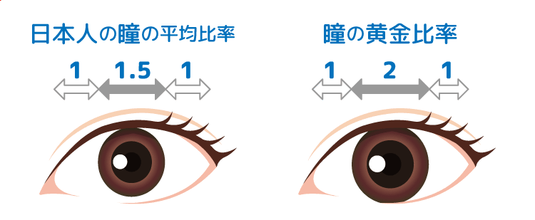 瞳の平均比率